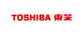 東芝信息機器(杭州)有限公司成功案例分析